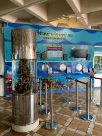🐠Bangsaen Aquarium ดูปลาที่บางแสน✨
