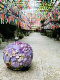 【福岡観光】涼しげな風鈴とシャボン玉が楽しめるお寺🎐