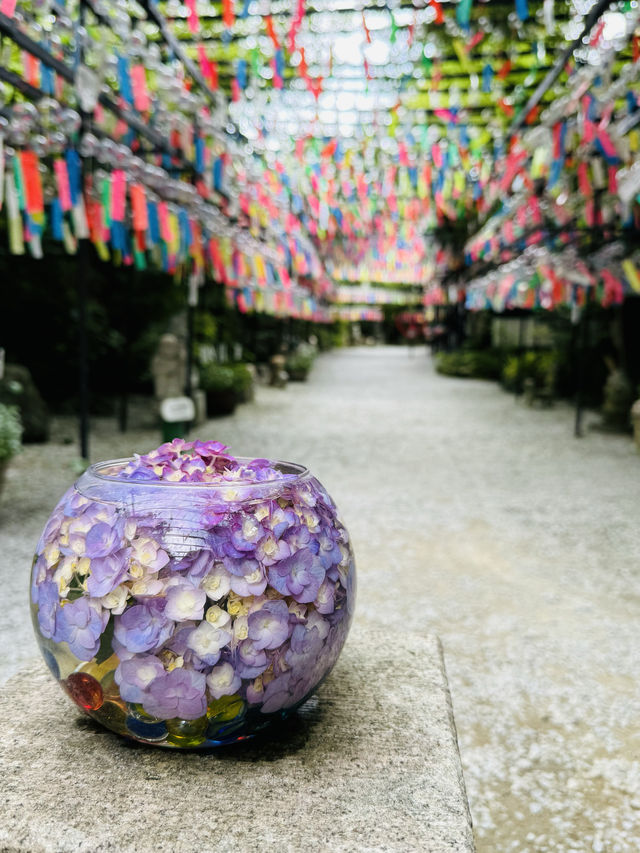 【福岡観光】涼しげな風鈴とシャボン玉が楽しめるお寺🎐