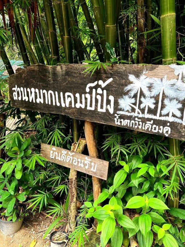 สวนหมากแคมป์ปิ้ง
