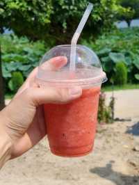 ❣️맛있는 연핫도그와 예쁜 연잎이 있는 데이트코스, "두물머리"❣️
