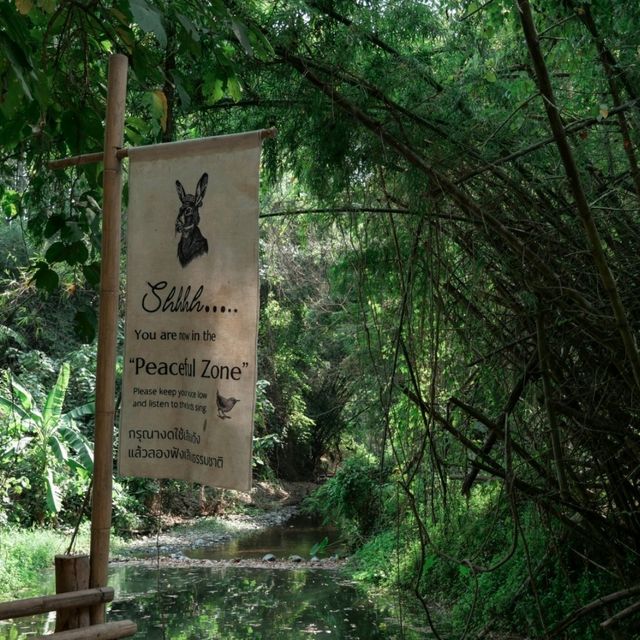 The Humble Jack - คาเฟ่ของกระต่าย Jack 