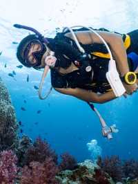 **🌊 Dive into Paradise: Scuba Diving in Phi Phi Island 🇹🇭**