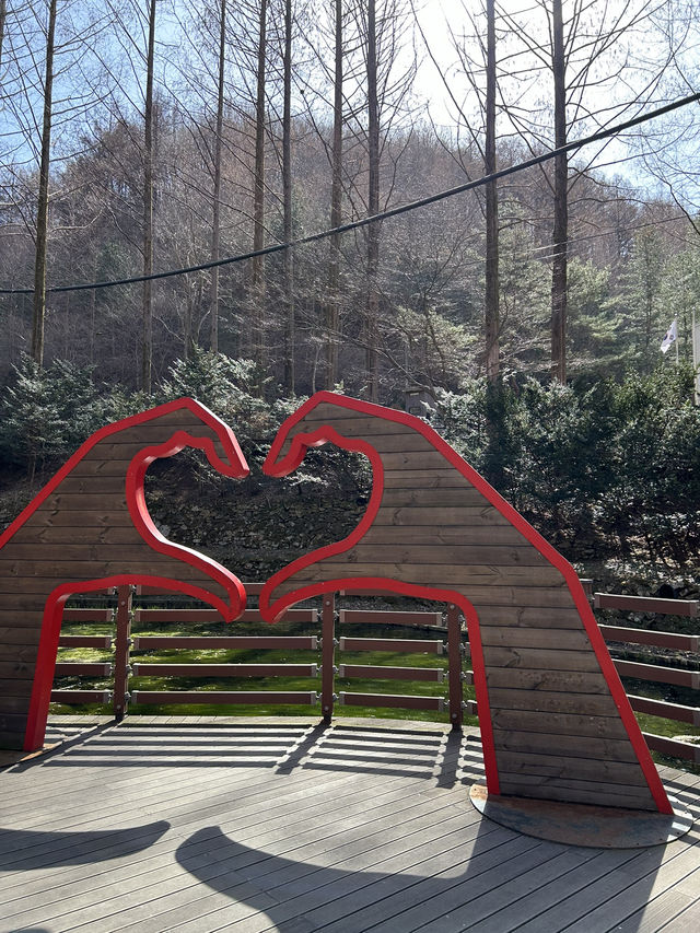 대전 장태산자연휴양림 숲산책 추천🌳
