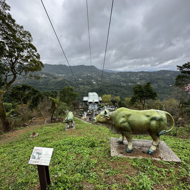 Zhinan Temple ตามหานักสัตว์ 12 ราศี