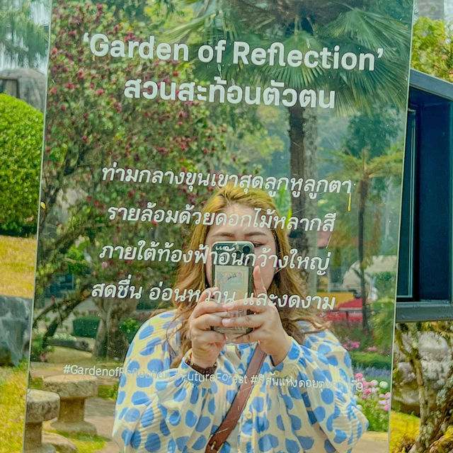 🌺สวนรุกขชาติแม่ฟ้าหลวง...สวนกุหลาบพันปี🌺