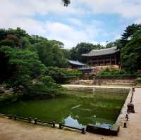 Palace of Serenity: Changdeokgung's Majestic Charm