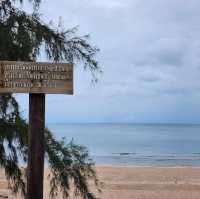 เนินทรายงาม GrandSandDune