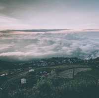🌥️ร่างกายต้องการหมอก ต้องมาเที่ยวภูทับเบิก