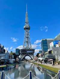 Early Cherry Blossom 2024 in Nagoya 