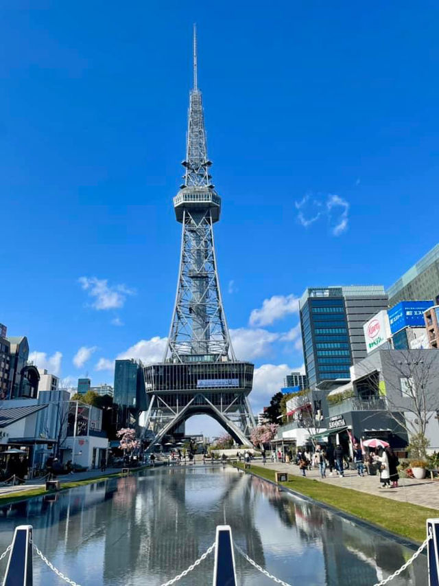 Early Cherry Blossom 2024 in Nagoya 