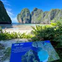 Turquoise Temptation: Unveiling Phi Phi Island and Krabi's Hidden Paradise