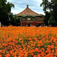 Flower show at Beijing BeiHai Park 