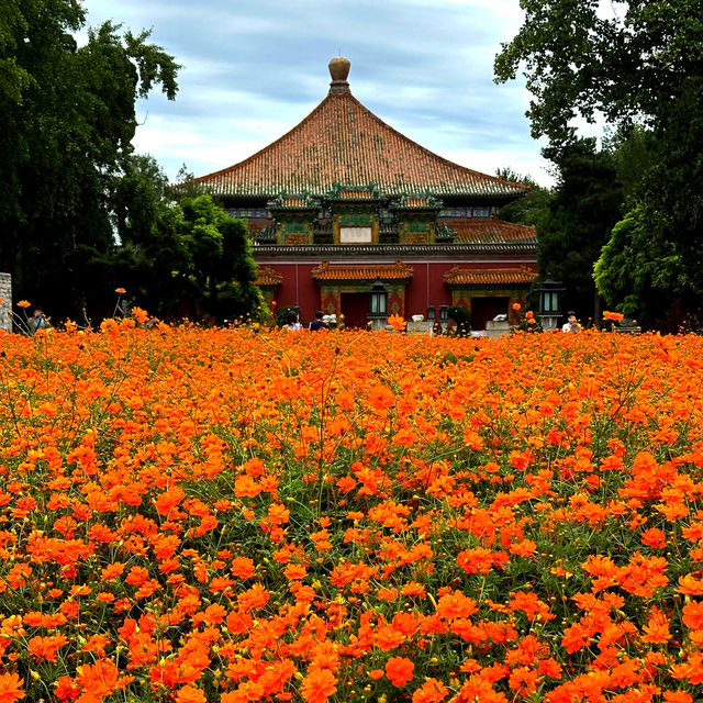 Flower show at Beijing BeiHai Park 