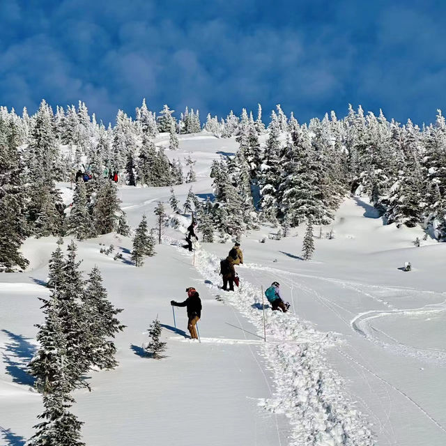 🏂❄️⛷️新雪谷滑雪場🎠冬季運動愛好者的天堂🏂❄️⛷️