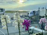 【NH】羽田→那覇 プレミアムクラス✈️
