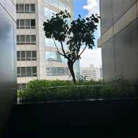 รีวิว Hotel Indigo Bangkok Wireless Road