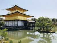 【京都/北区】一度は見てみたい鹿苑寺