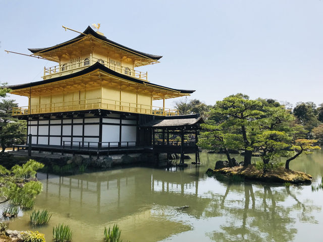 【京都/北区】一度は見てみたい鹿苑寺