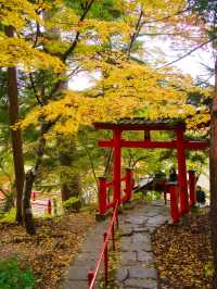 【青森】「ここはすべてが魅力的である。」と海外の文献に残る紅葉スポット🍁観光攻略付き✨