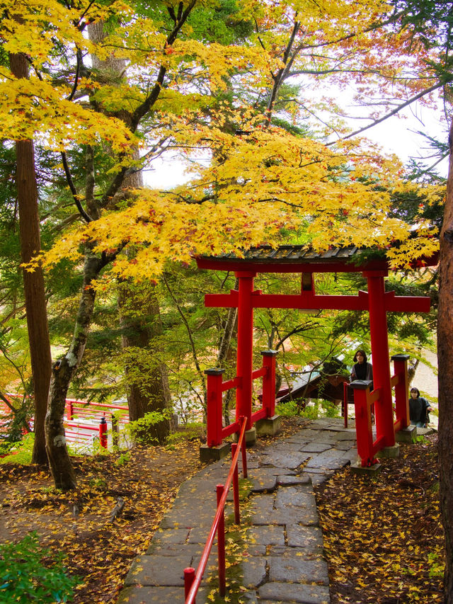 【青森】「ここはすべてが魅力的である。」と海外の文献に残る紅葉スポット🍁観光攻略付き✨