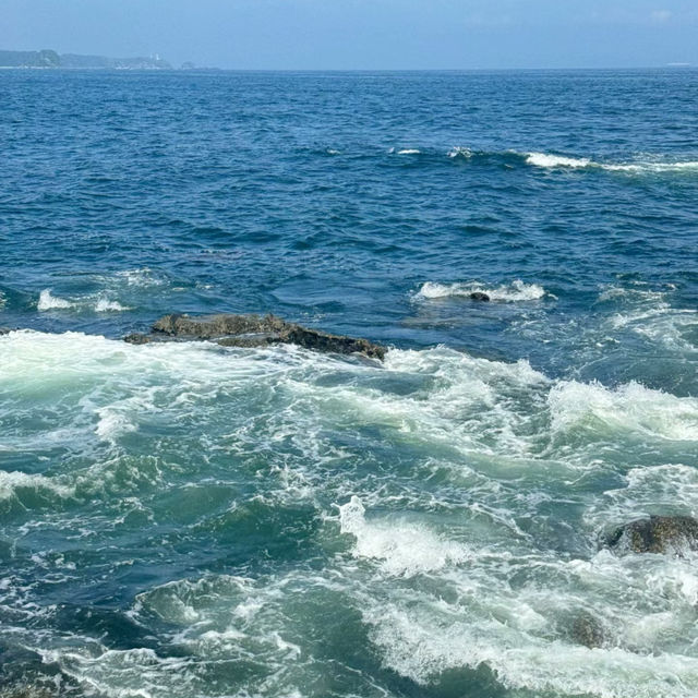 🌊 根本海岸：天然的美麗畫卷