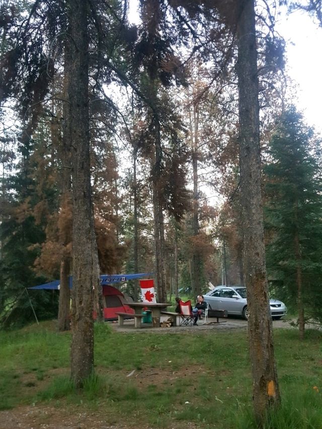 CAMPING ADVENTURE IN BANF, CANADA