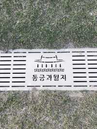 경주 여행가서 안갈 수 없는 곳 ‘동궁과 월지’🇰🇷
