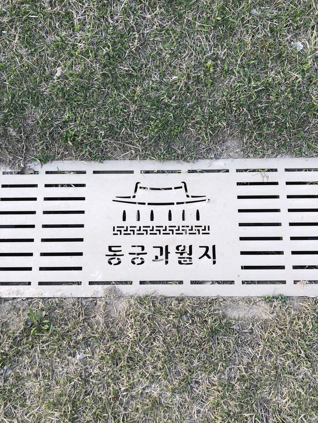 경주 여행가서 안갈 수 없는 곳 ‘동궁과 월지’🇰🇷