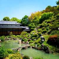 【京都】この秋行きたい！京都神社仏閣巡り 智積院