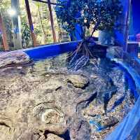 A Fascinating Experience at Underworld Langkawi Aquarium