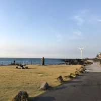 Cactus and Coast: Scenic Walks at Wollyeong-ri 🇰🇷