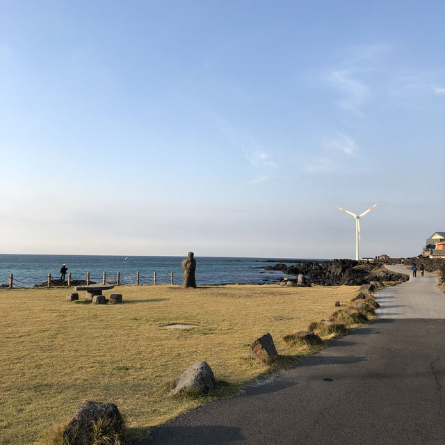 Cactus and Coast: Scenic Walks at Wollyeong-ri 🇰🇷