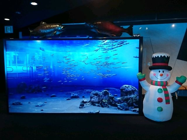 【サケのふるさと 千歳水族館:北海道千歳市】鮭などの淡水魚を見れる珍しい水族館🐧