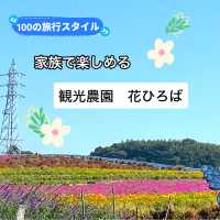 知多半島の旅　観光農園「花ひろば」