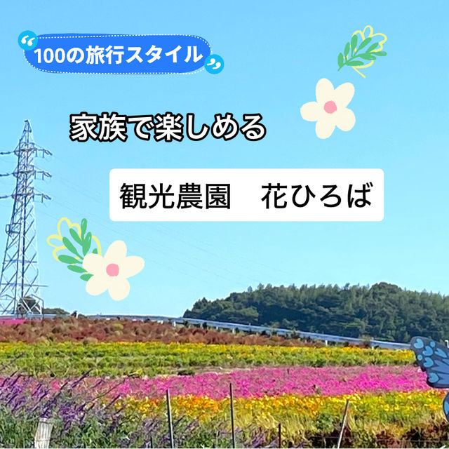 知多半島の旅　観光農園「花ひろば」