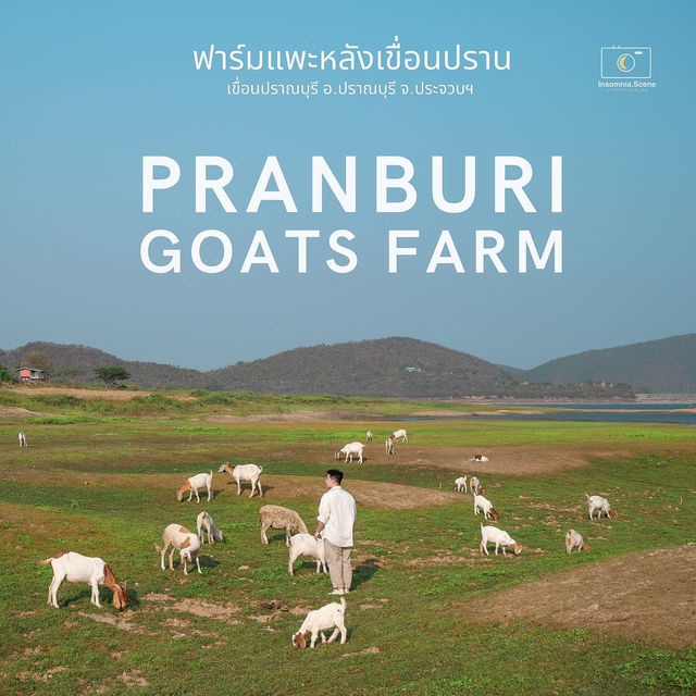 ไปปล่อยชิวถ่ายรูปกับน้องแพะ แกะ vibes สวยๆกัน