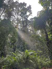 Escape to Nature: Sungai Congkak Recreational Forest