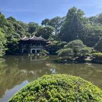 A Calm Escape: Relaxing in Shinjuku Gyoen Garden Amid Tokyo’s Bustle