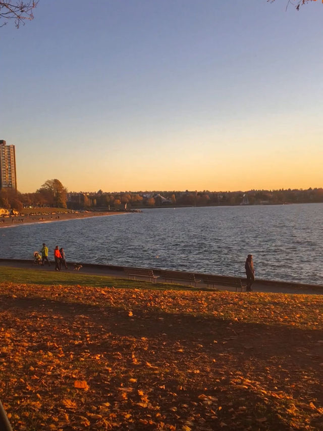 【バンクーバー🇨🇦】秋のビーチでゆったり紅葉狩り🍁