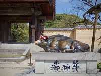 เช็คอินขอพรที่ศาลเจ้าชื่อดัง🌊สัญลักษณ์ของ Fukuoka