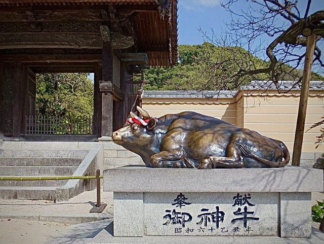 เช็คอินขอพรที่ศาลเจ้าชื่อดัง🌊สัญลักษณ์ของ Fukuoka