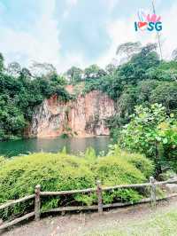 🇸🇬 Berry welcome to Bukit Batok Nature Park