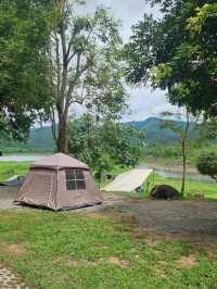 Phupha Coffee Camp ภูผา คอฟฟี่ แค้มป์
