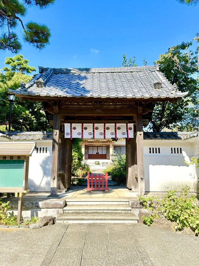 【東京都】多宝塔と緑の美しいコントラスト