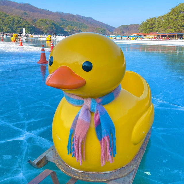 역시 겨울에는 오리썰매 무조건 이지🐤
