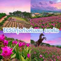 ไร่จีบีทุ่งกังหันลม เขาค้อ