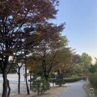 Namsan Park ในฤดูใบไม้เปลี่ยนสี