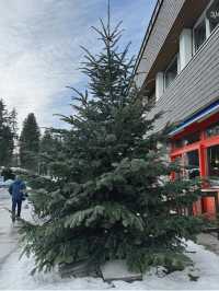 St. Moritz เสน่ห์แห่งฤดูหนาวที่น่าหลงใหล