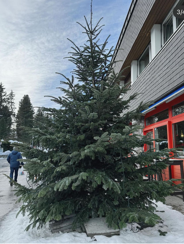 St. Moritz เสน่ห์แห่งฤดูหนาวที่น่าหลงใหล